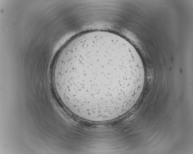 X0000069400678200606091742