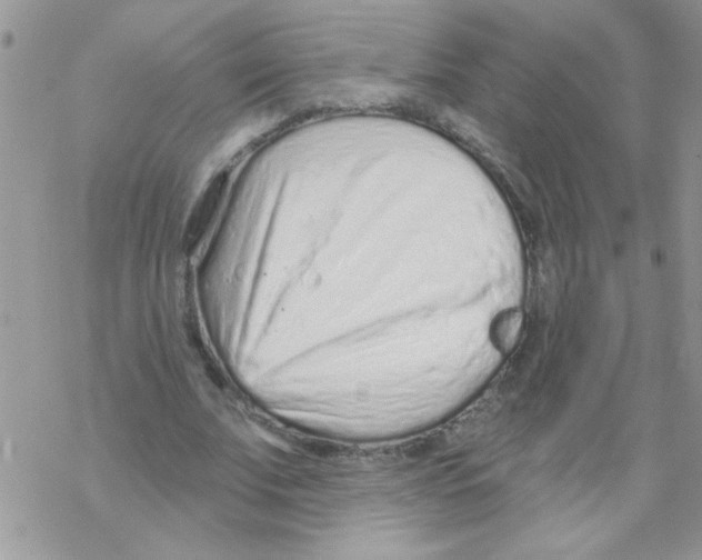 X0000069400679200606091742