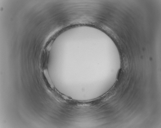 X0000069400680200606091742