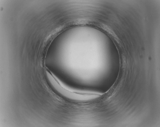 X0000069400681200606091742