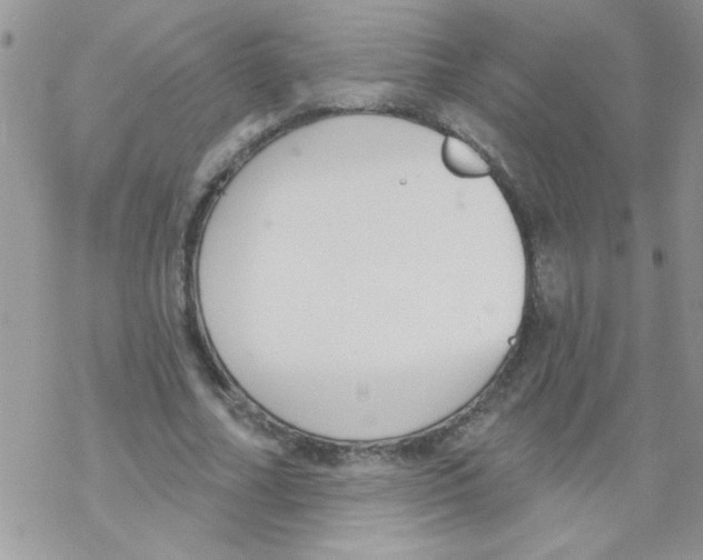 X0000069400682200606091742