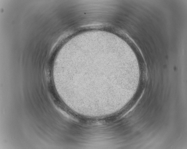 X0000069400683200606091742