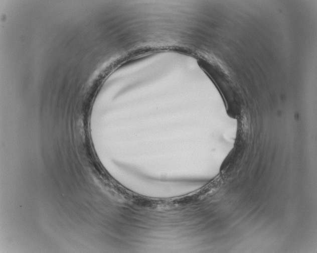 X0000069400684200606091742