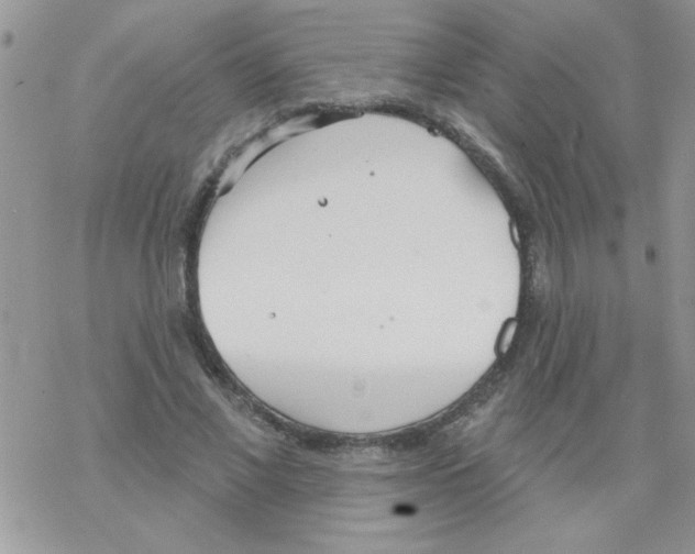 X0000069400685200606091742