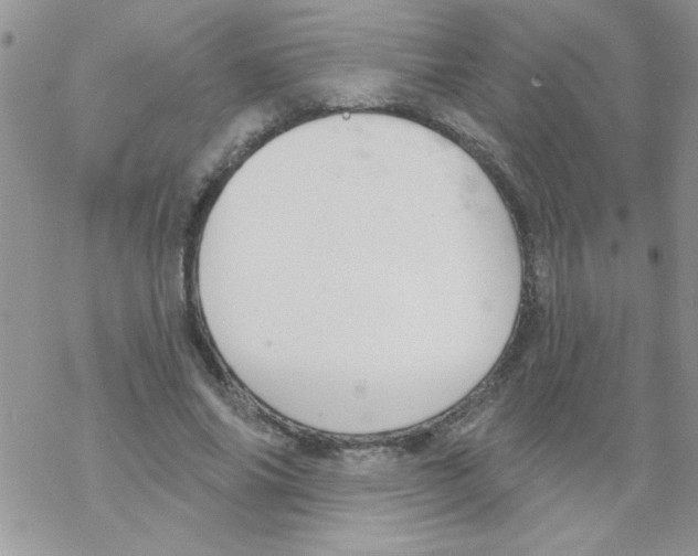 X0000069400686200606091742