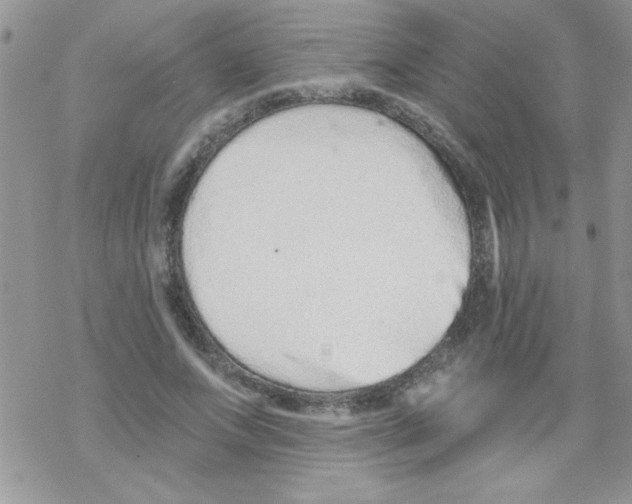 X0000069400687200606091742