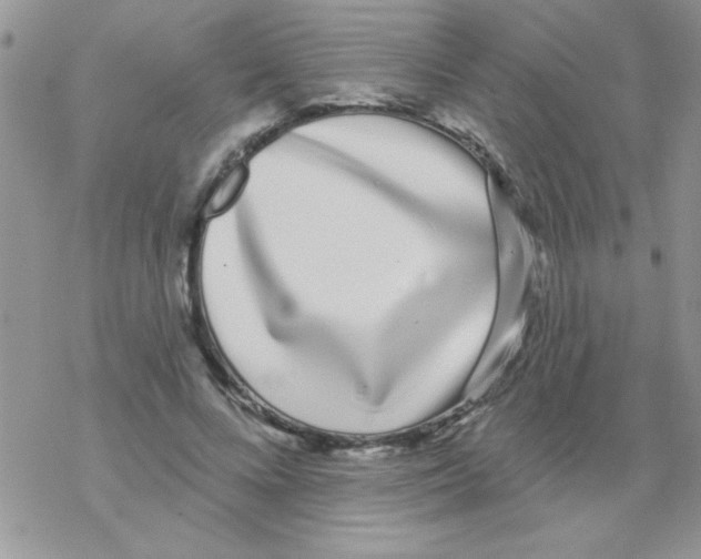 X0000069400688200606091742