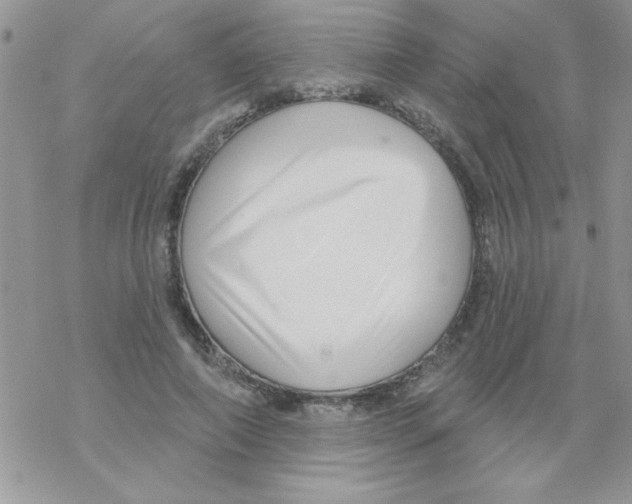 X0000069400690200606091742