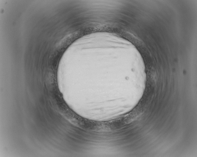 X0000069400691200606091742