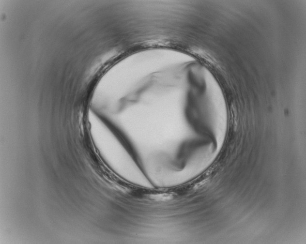 X0000069400692200606091742