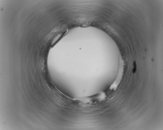 X0000069400693200606091742