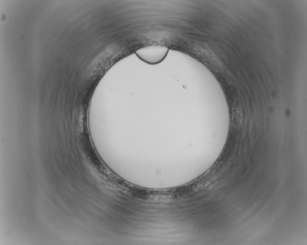 X0000069400694200606091742