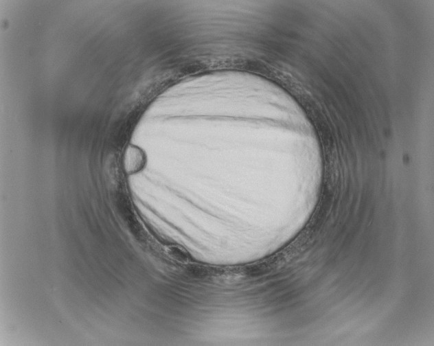 X0000069400695200606091742