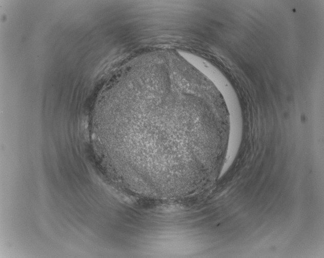 X0000069400696200606091742