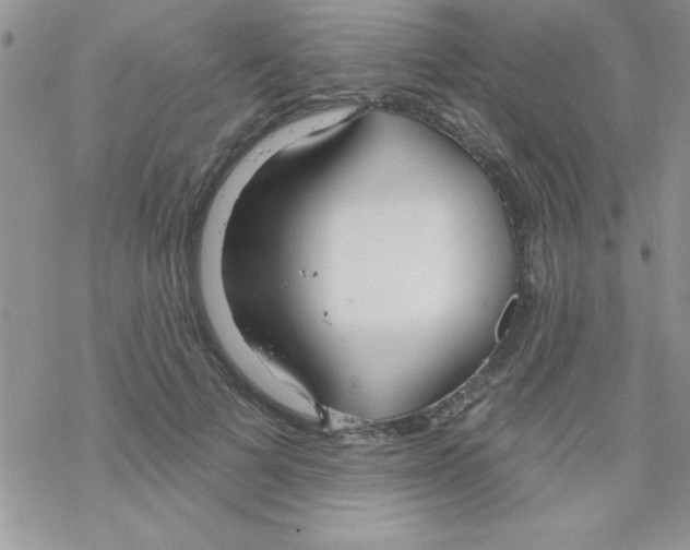 X0000069400697200606091742