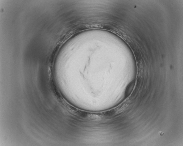 X0000069400699200606091742