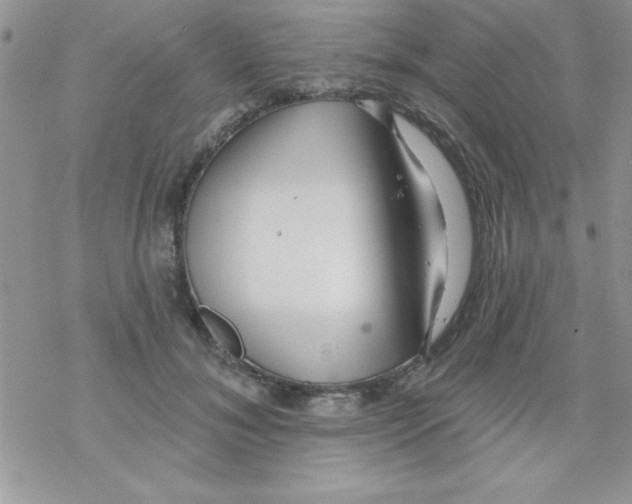 X0000069400700200606091742