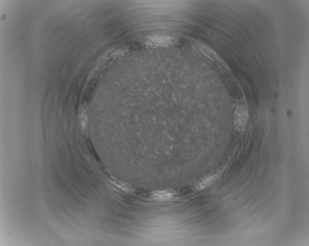 X0000069400701200606091742