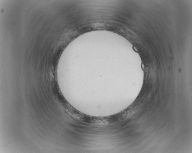 X0000069400702200606091742