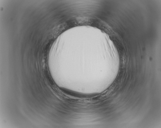 X0000069400703200606091742