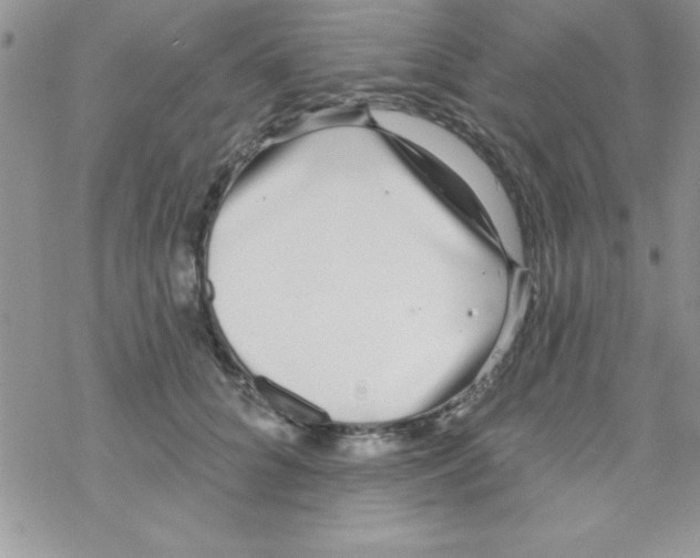 X0000069400704200606091742