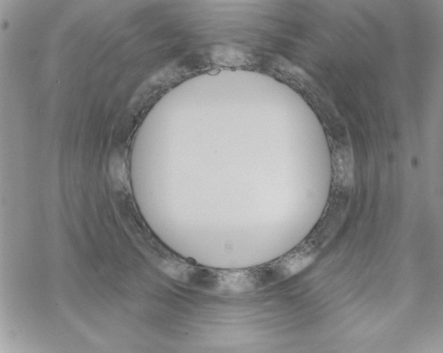 X0000069400705200606091742