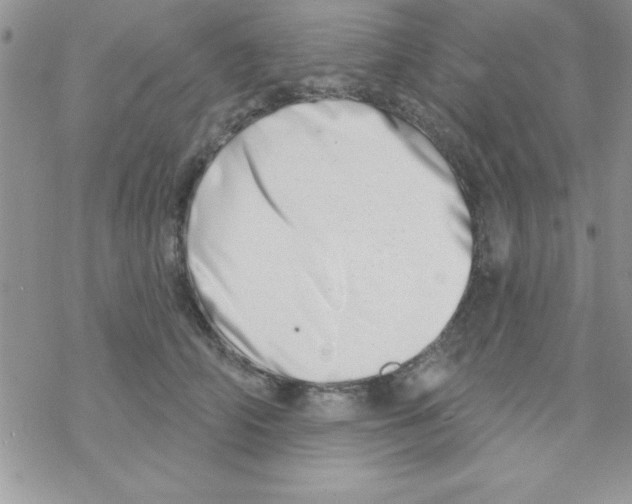 X0000069400706200606091742