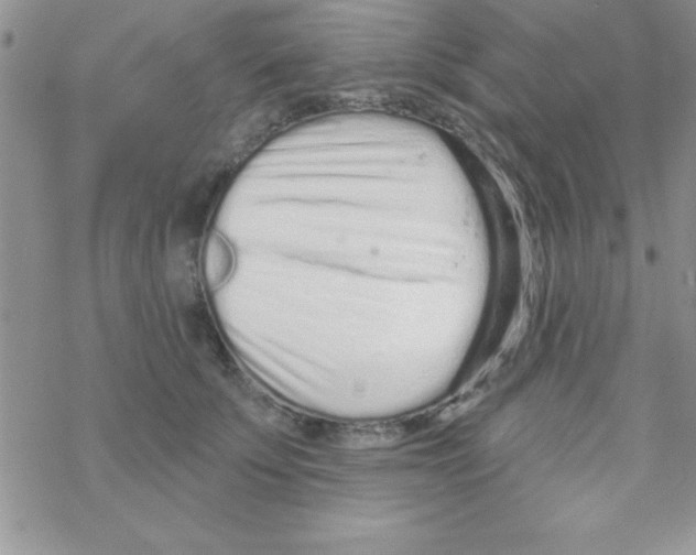 X0000069400707200606091742