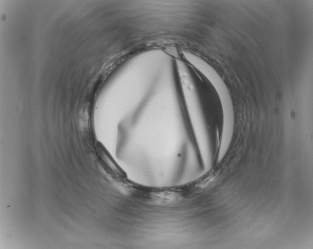 X0000069400708200606091742