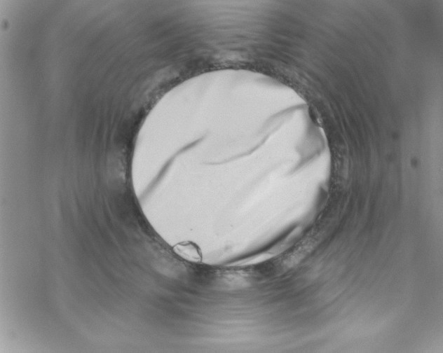 X0000069400710200606091742