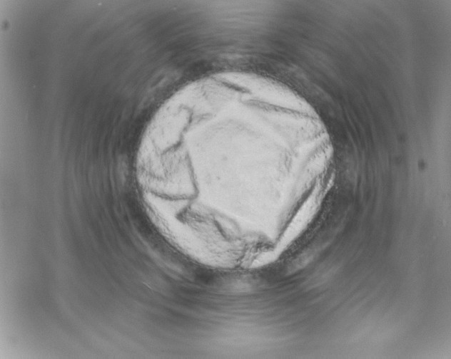 X0000069400711200606091742