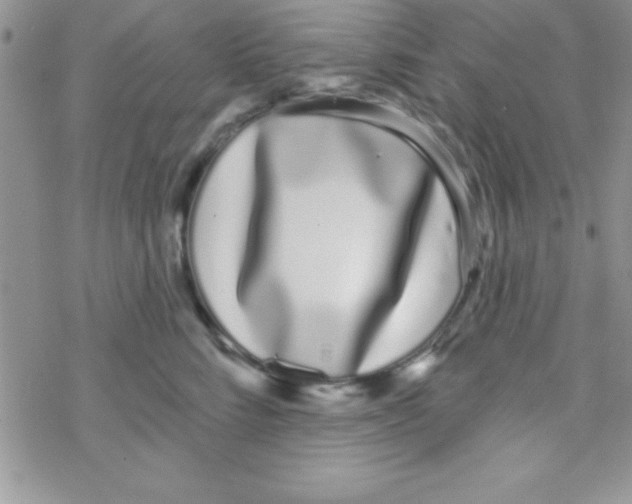 X0000069400712200606091741