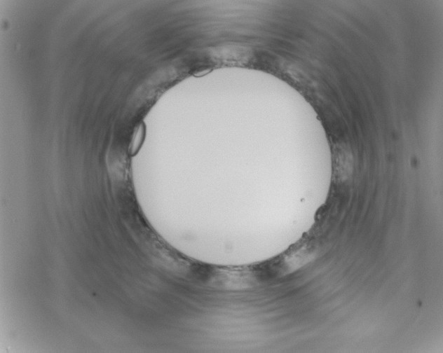 X0000069400713200606091741