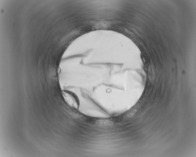 X0000069400714200606091741