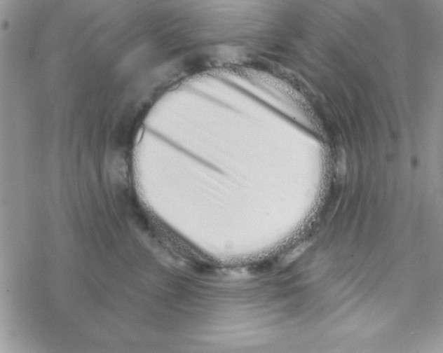 X0000069400715200606091741