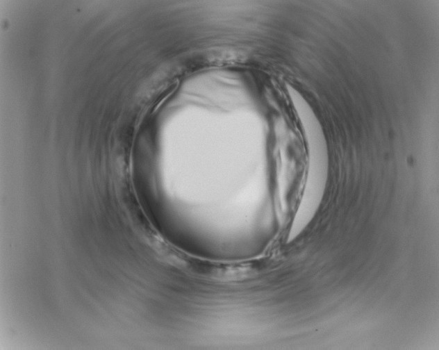 X0000069400716200606091741