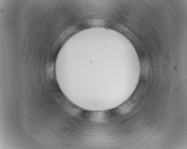 X0000069400717200606091741