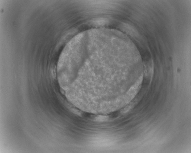 X0000069400718200606091741