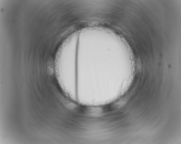 X0000069400719200606091741