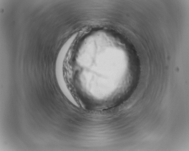 X0000069400720200606091741