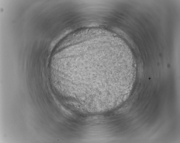 X0000069400721200606091741