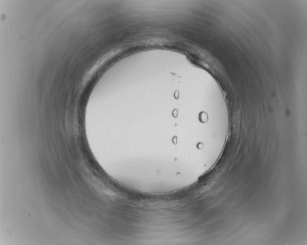 X0000069400722200606091741