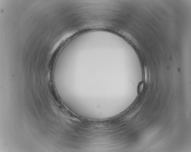 X0000069400723200606091741