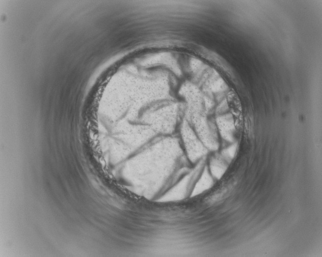 X0000069400724200606091741