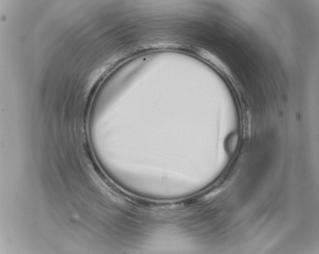 X0000069400725200606091741