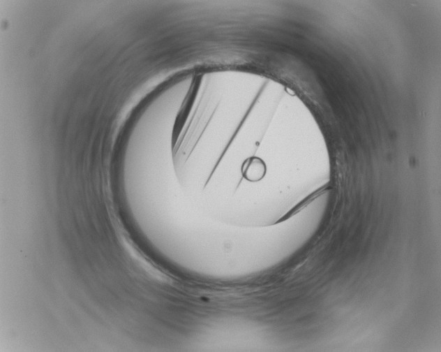 X0000069400726200606091741