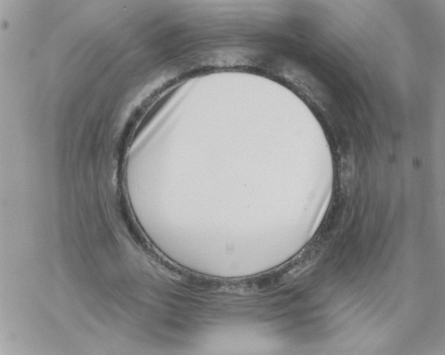 X0000069400727200606091741