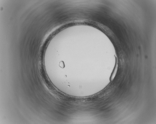 X0000069400728200606091741