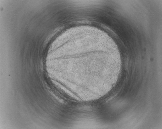 X0000069400729200606091741