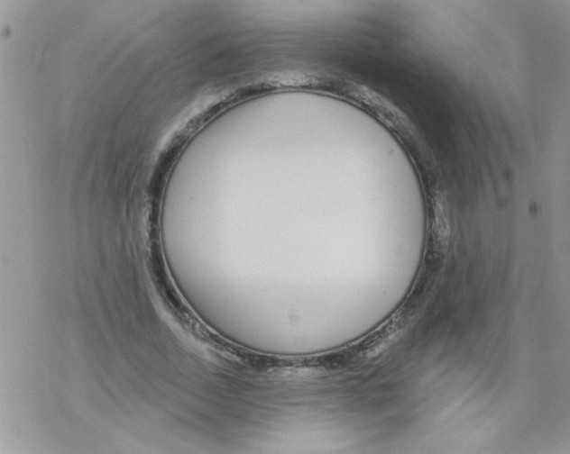 X0000069400730200606091741